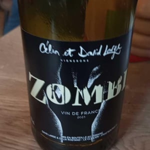 Zombi - David Large - Célia Rostand et David Large 