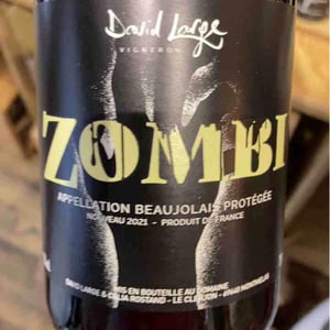 Zombi - David Large - celia-rostand-et-david-large