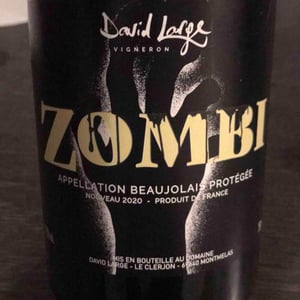 David Large - Célia Rostand et David Large - Zombi