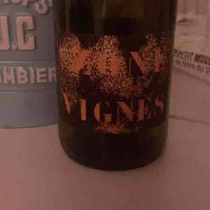 ZONE VIGNE - Domaine Des Trouillères - Camille & Mikael Hyvert -2022