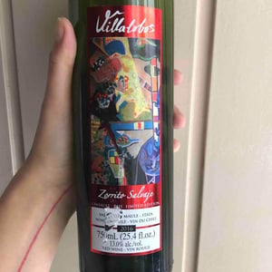 Zorrito Salvage - Villalobos - enrique-villalobos