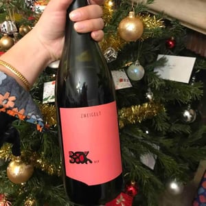 Zweigelt - Weingut Beck - judith-beck