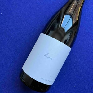 Zweigelt Kieselstein - Weingut Claus Preisinger - claus-preisinger