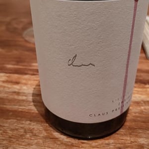Zweigelt Kieselstein - Weingut Claus Preisinger - claus-preisinger