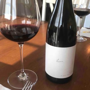 Weingut Claus Preisinger - Claus Preisinger - Zweigelt Kieselstein