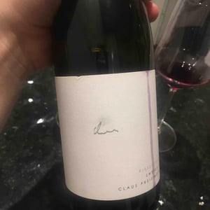 Weingut Claus Preisinger - Claus Preisinger - Zweigelt Kieselstein