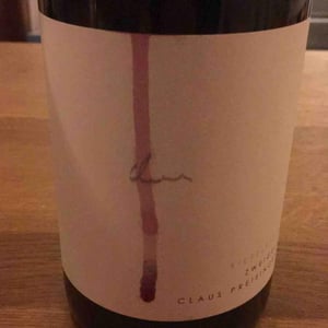Zweigelt Kieselstein - Weingut Claus Preisinger - claus-preisinger