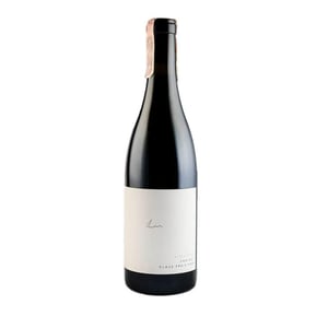 Zweigelt Kieselstein - Weingut Claus Preisinger - claus-preisinger