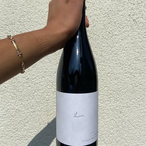 Zweigelt Kieselstein - Weingut Claus Preisinger - claus-preisinger
