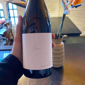 Zweigelt Kieselstein - Weingut Claus Preisinger - Claus Preisinger 
