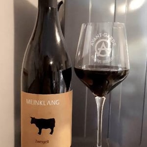 Zweigelt - Meinklang - Weingut Michlits - angela-werner-michlits
