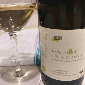 Muscadet Sèvre Et Maine - Domaine de Bellevue - jerome-bretaudeau