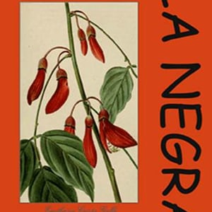 La Negra - Domaine Yoyo - laurence-manya-krief