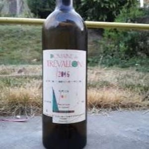 Trevallon - Domaine de Trévallon - eloi-durrbach