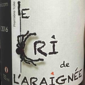 Première Toile - Le Cri de L'Araignée - olivier-trombetta