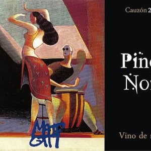 Pinot Noir - Bodega Cauzon - Ramón Saavedra 