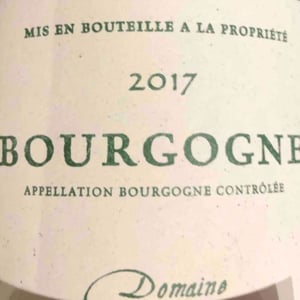 Bourgogne - Domaine Derain - julien-altaber-carole-shwab-domique-derain