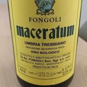 Maceratum - Fongoli - Angelo Fongoli 