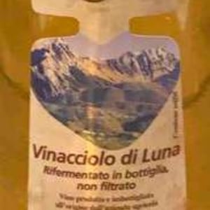 Vinacciolo di Luna - Terra Della Luna - Alessandro Vignali 