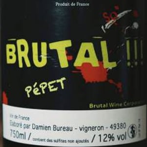 Brutal Pépet - Damien Bureau - Damien Bureau -2016