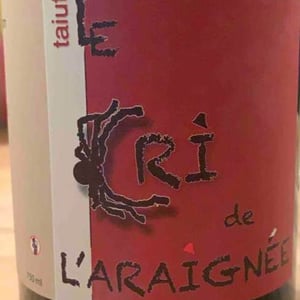 Taiut - Le Cri de L'Araignée - olivier-trombetta