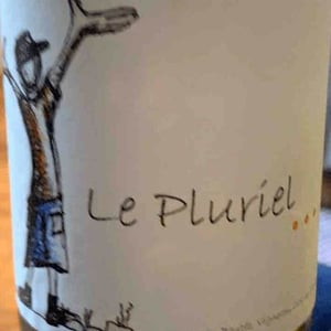 Le Pluriel Blanc - Clos Des Boutes - Sylvain Boutée 