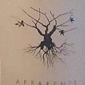 Apparente Blanc - Chateau Puech redon - cyril-cuche