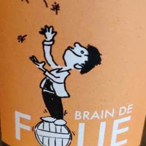 Brain de Folie Chenin - Domaine du Mortier - fabien-cyril-boisard