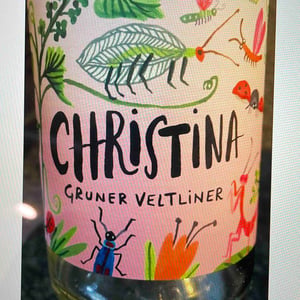 Gruner Vetliner - Weingut Franz & Christine Netzl - franz-christine-netzl -2019