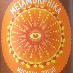 Metamorphika Macabeu Brisat - Costador Terroirs Mediterranis - Joan Franquet 