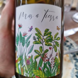 Mas a Tierra - Domaine de la Petite Empreinte - melissa-bazin-romain-de-moor -2022