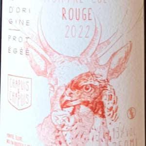 Bourgogne "Montre Cul" - Chapuis & Chapuis - Romain & Jean-Guillaume Chapuis -2022
