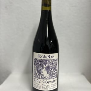 Ikokébé - Paul Barlet - Paul Barlet -2021
