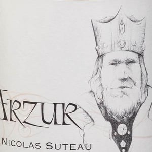 Arzur - Nicolas Suteau - nicolas-suteau