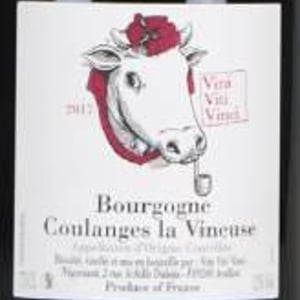 Bourgogne Coulanges La Vineuse - Vini Viti Vinci - nicolas-vauthier-kikro