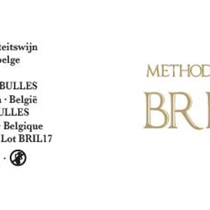 Briljant - Optimbulles - maxim-geunis-family -2017