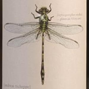 Grüne Libelle Reserve