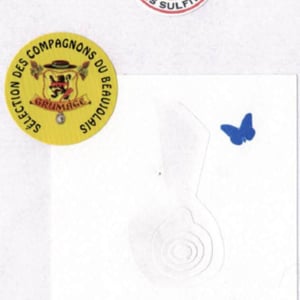 Lancié sans sulfites - Nestor Belicard - nestor-belicard -2018