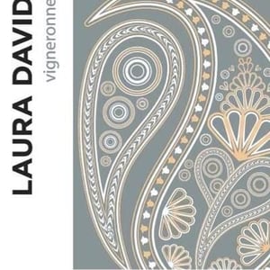 L'insolente - Laura David Vigneronne - laura-david