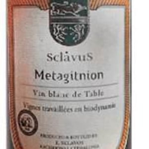 Metagitnion