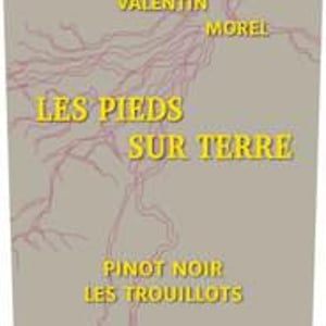 Pinot Noir Les Trouillots - Les Pieds Sur Terre - Valentin Morel 
