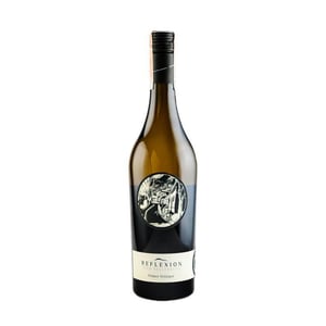 Reflexion Grüner Veltliner Ried Kellerberg - Bioweingut Johannes Zillinger - Johannes Zillinger -2019