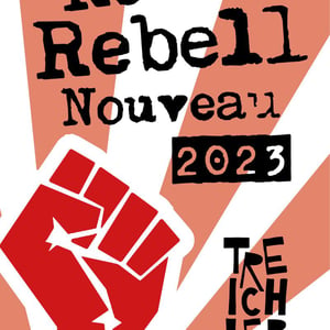Roter Rebell Nouveau - Domaine Pascal Treichler - pascal-treichler -2023