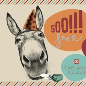 Soo!!! free - Carlania Celler - jordi-miro-and-sonia-goma-camps