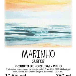 Surfer 2020