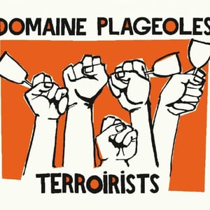 Terroirists Orange - Domaine Plageoles - Bernard, Florent & Romain Plageoles 