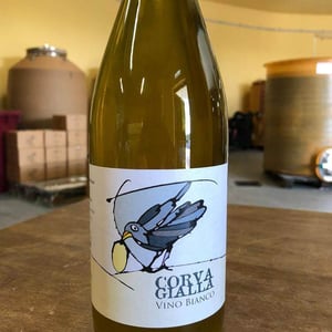 Vino Bianco - Azienda Agricola Corvagialla - beatrice-arweiler