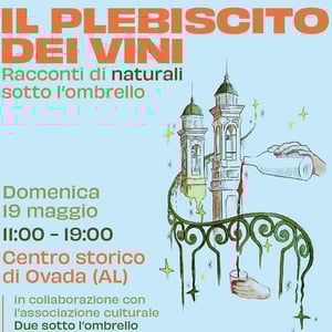 Il Plebiscito dei Vini 2024