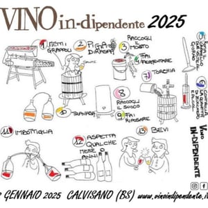 Vino In-dipendente #10