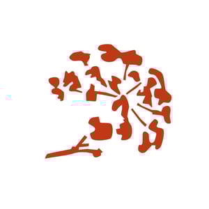 Franca - Osteria Agricola